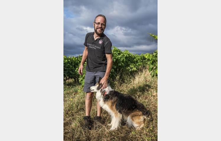 image de Le domaine des Bardes