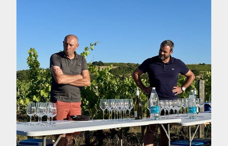image de Sunset drinks in the vineyards  - Domaines d'Aniello et Vallet