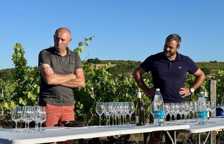 Photo of Sunset dans les vignes - Domaines d'Aniello et Vallet