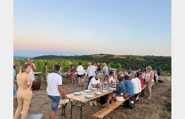 image de Sunset drinks in the vineyards  - Domaines d'Aniello et Vallet