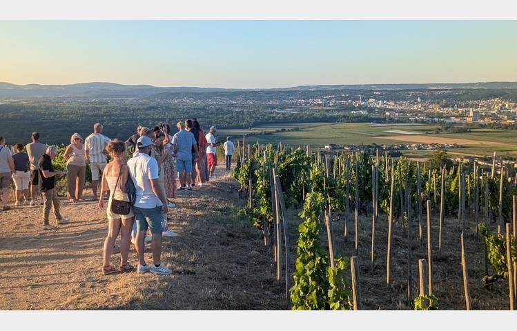 image de Sunset drinks in the vineyards  - Domaines d'Aniello et Vallet
