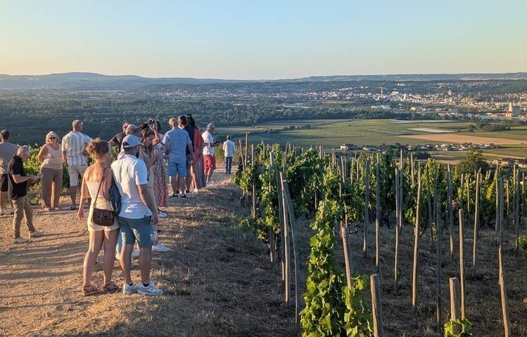 Photo of Sunset dans les vignes - Domaines d'Aniello et Vallet