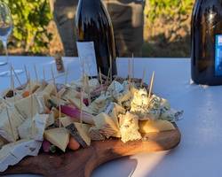 Sunset drinks in the vineyards  - Domaines d'Aniello et Vallet
