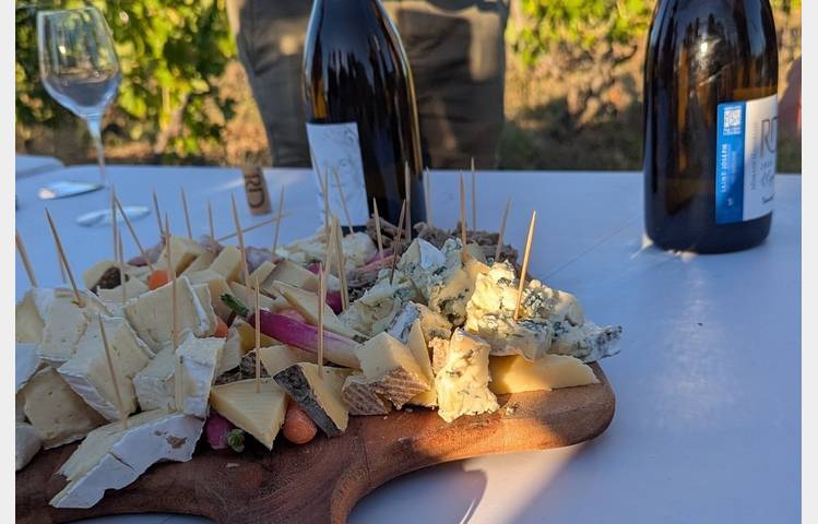 image de Sunset drinks in the vineyards  - Domaines d'Aniello et Vallet