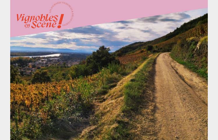 image de Randonnée dans les vignes - Domaine de Gouye