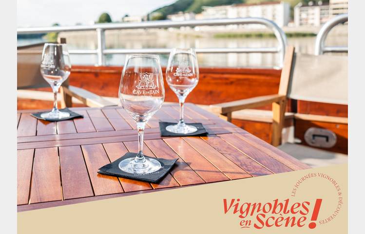 image de Croisière Gourmande : Vins & Fromages au Fil du Rhône - Terre de Syrah
