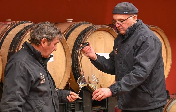 Photo of Domaine d'Emile