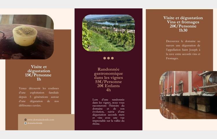 image de Visite, degustation vin et fromage