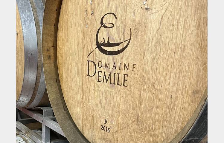 image de Randonnée gastronomique à travers les vignes
