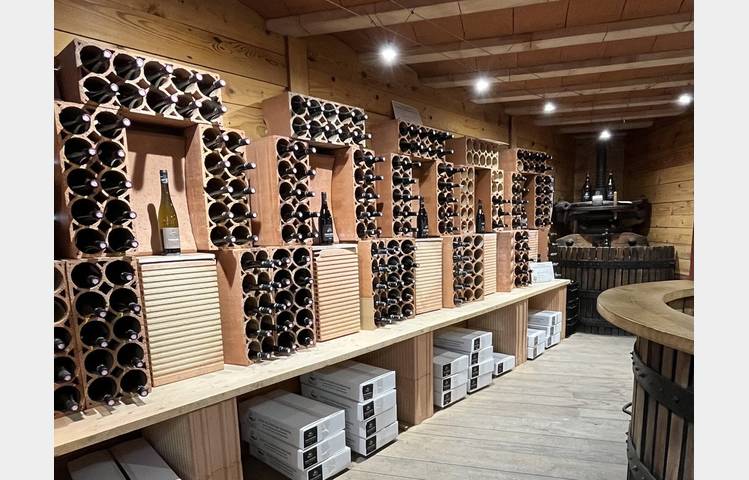 image de Randonnée gastronomique à travers les vignes