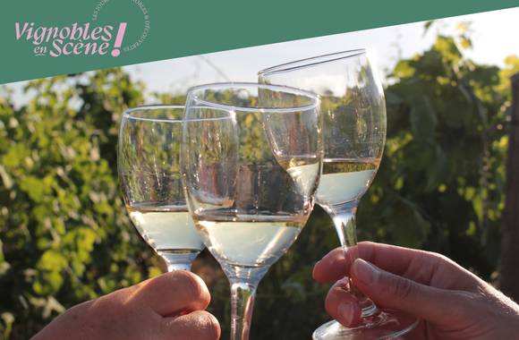 Visite et dégustation - Cave de Tain - Vignobles en scène