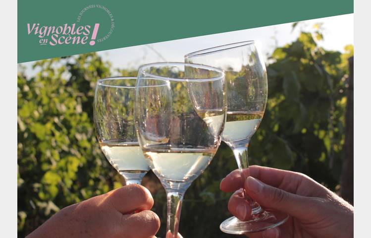 image de Visite et dégustation - Cave de Tain - Vignobles en scène