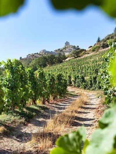 img-salon-des-vins-et-de-la-gastronomie