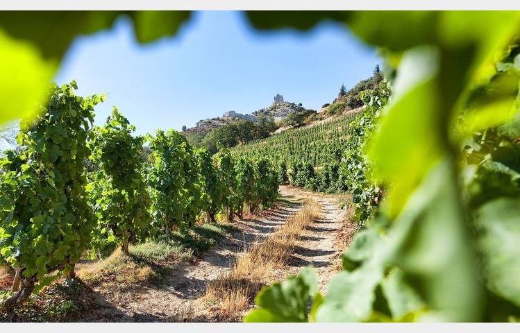 image de Salon des Vins et de la Gastronomie