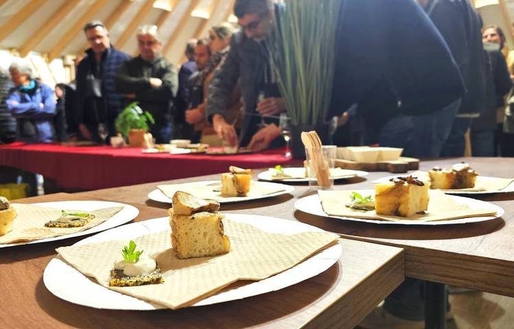 Photo of An unusual banquet at the Peaugres Safari Park