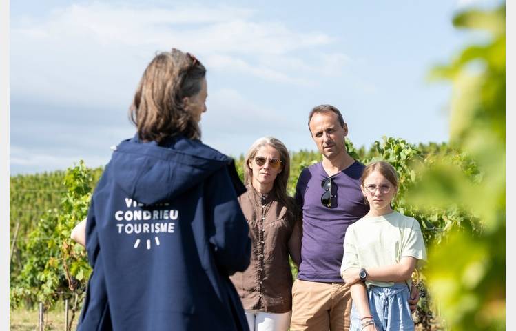 image de Côte-Rôtie Tour de Vignobles en Scène