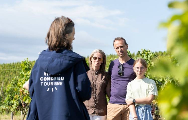 Photo of Côte-Rôtie Tour de Vignobles en Scène