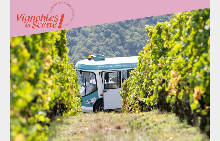 image de Côte-Rôtie Tour de Vignobles en Scène