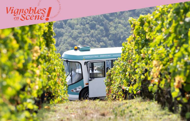 Photo of Côte-Rôtie Tour de Vignobles en Scène