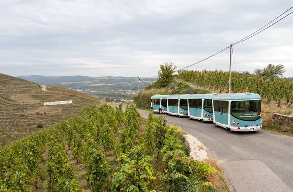 Côte-Rôtie Tour (Spécial Journées Européennes du Patrimoine)