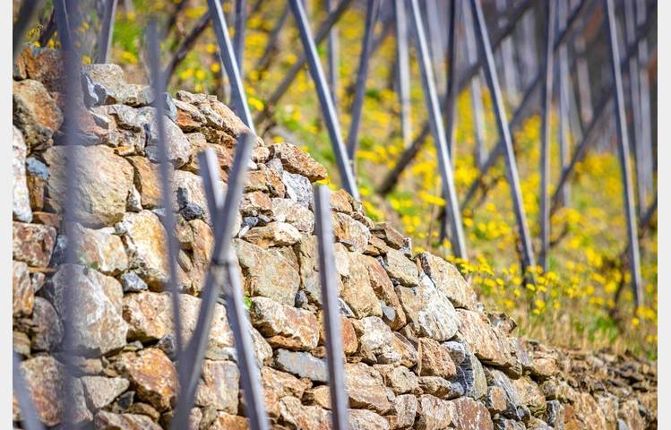 image de Domaine de Rosiers