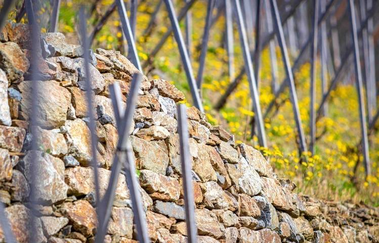Photo of Domaine de Rosiers