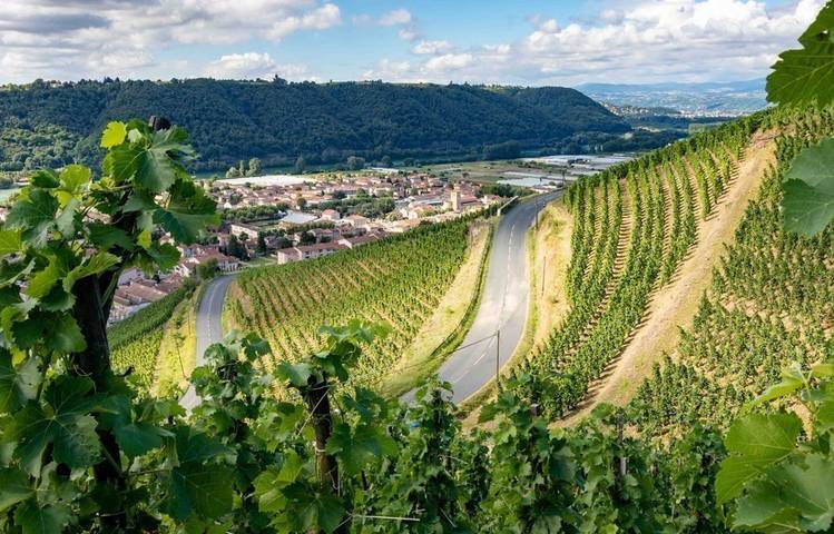 Photo of Domaine de Rosiers