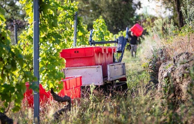 Photo of Domaine de Rosiers