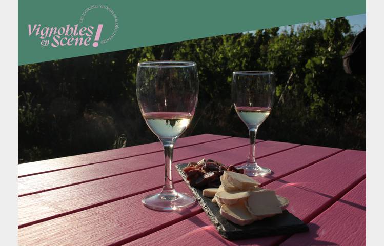 image de Brasero dans les vignes du Domaine Pradelle