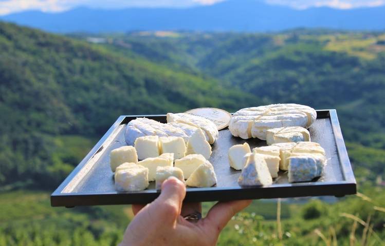 Photo of Gourmet walk through the vineyards