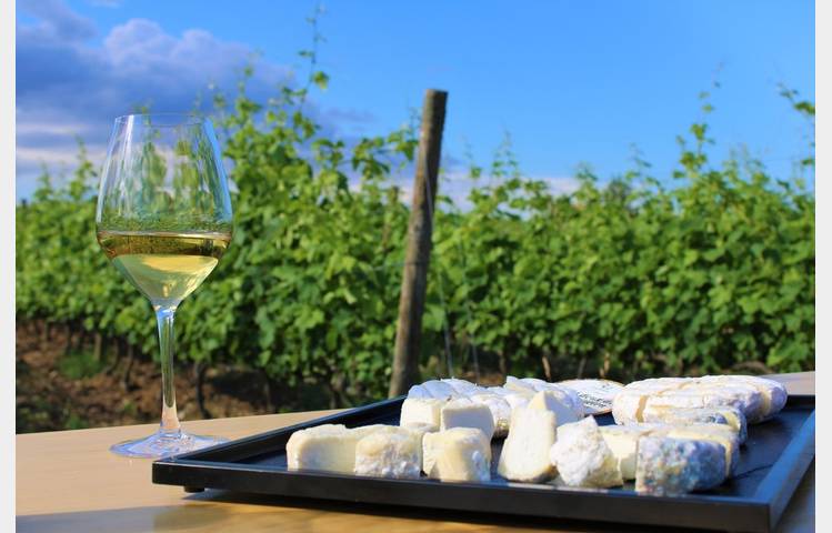 image de Balade gourmande dans les vignes