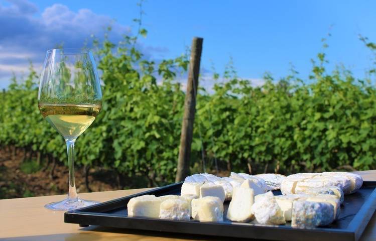 Photo of Gourmet walk through the vineyards