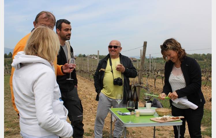 image de Balade gourmande dans les vignes