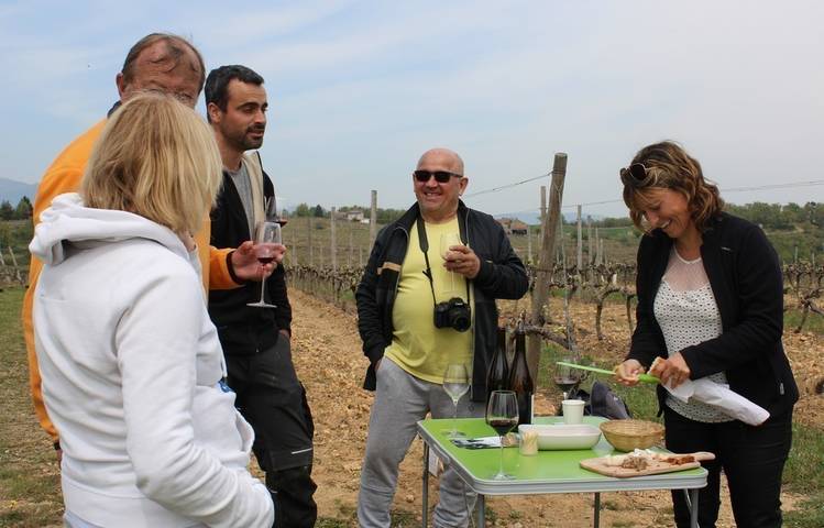 Photo of Gourmet walk through the vineyards