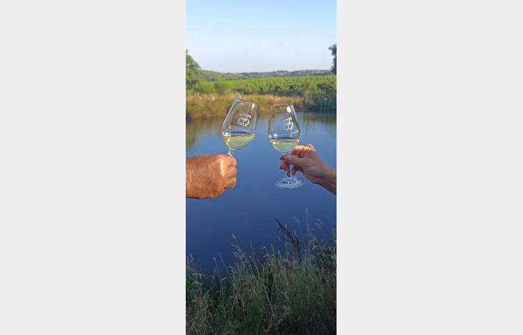 image de Gourmet walk through the vineyards