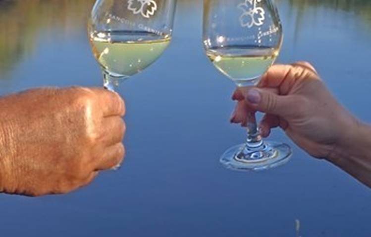Photo of Gourmet walk through the vineyards