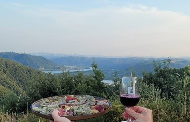 Photo of Gourmet walk through the vineyards
