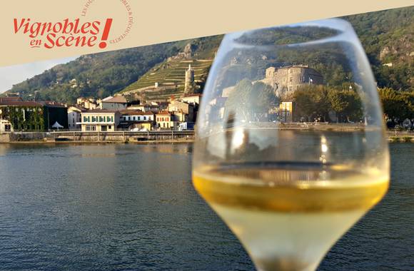 Visite guidée : " Au fil des cuvées" - Tournon sur Rhône