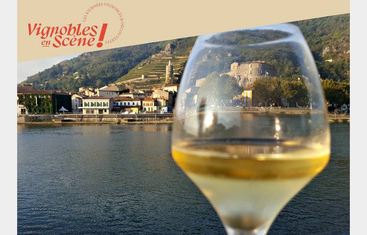 image de Visite guidée : " Au fil des cuvées" - Tournon sur Rhône