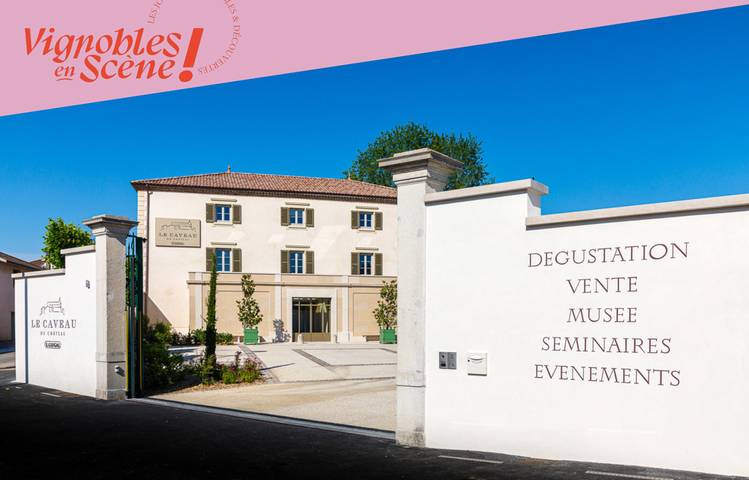 Photo of Visite et dégustation au Caveau du Château
