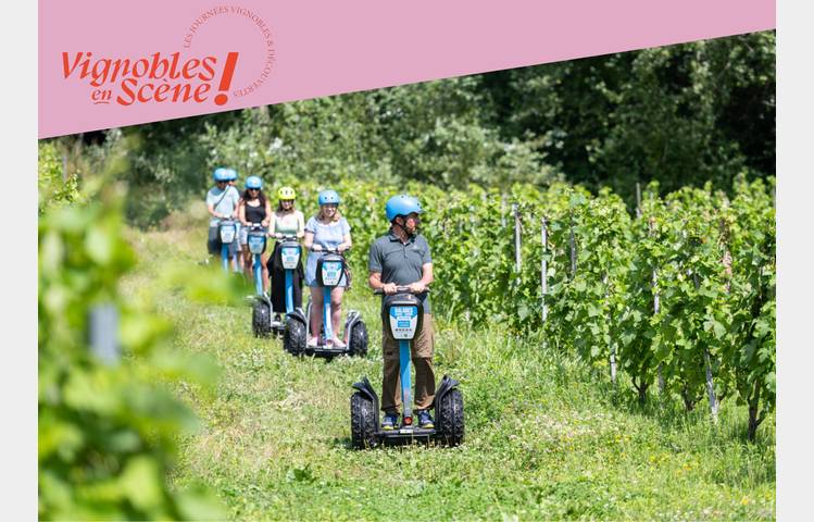 image de Balade en gyropodes dans les vignobles