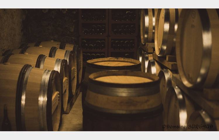 image de Domaine Burgaud