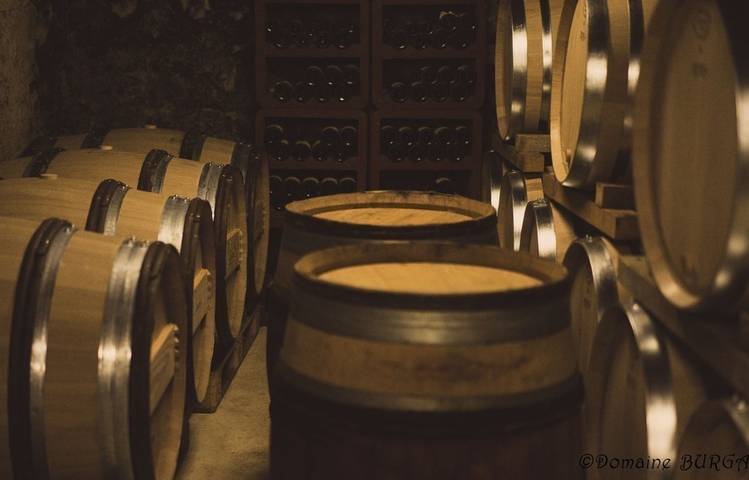 Photo of Domaine Burgaud