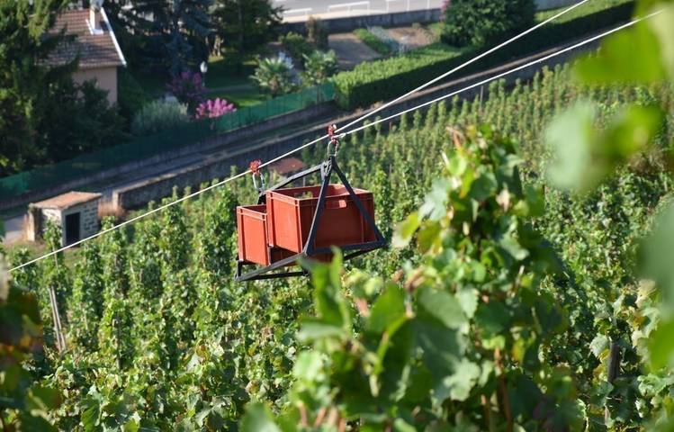 Photo of Domaine Burgaud