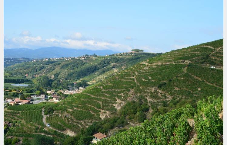 image de Domaine Burgaud