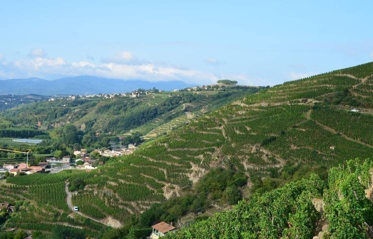 Photo of Domaine Burgaud