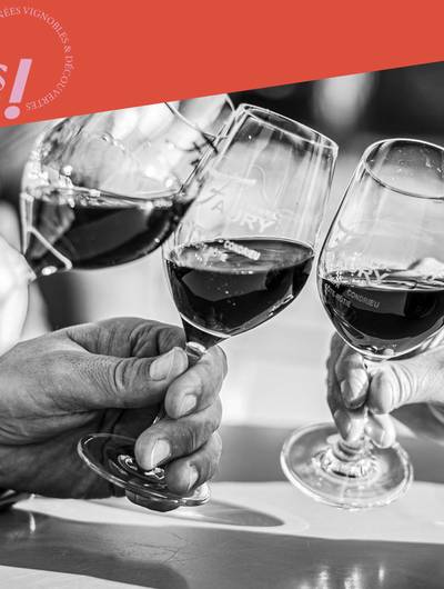 img-wine-notes-au-domaine-faury