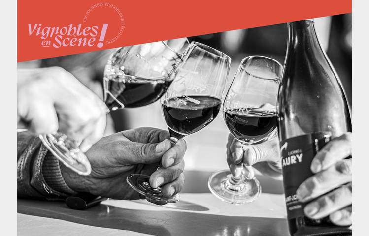 image de Wine Notes au Domaine Faury