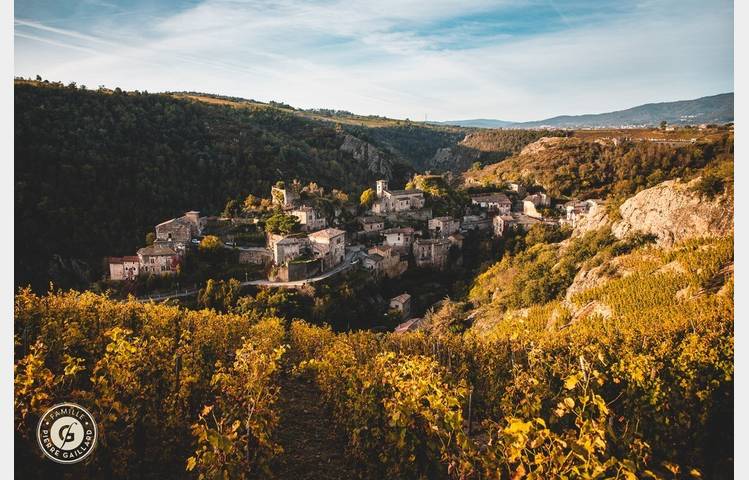 image de Brunch Vigneron au Domaine Pierre Gaillard