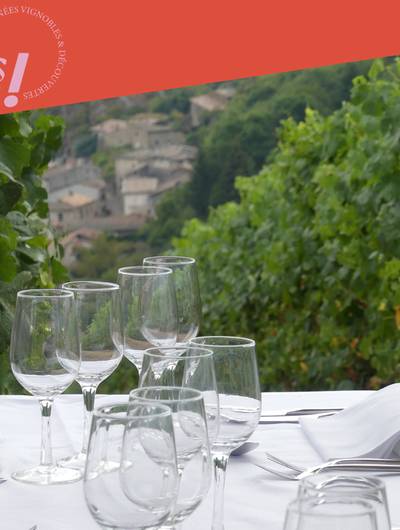 img-brunch-vigneron-au-domaine-pierre-gaillard